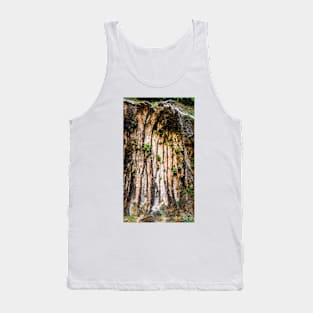 Weeping Rock Wall of Zion Tank Top